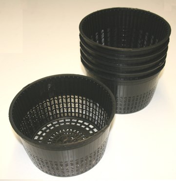 3 L pots.jpg