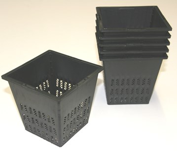 1 Lt pots.jpg